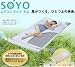 【送料無料】◆家族の快適生活応援◆医薬品メーカー推奨!『エアコンマット そよ ~SOYO~』