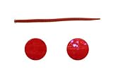 Berkley Gulp! Alive! 6 Molded Bloodworm Size: 16 oz.; Color: Bloody Iridescent (BLI)