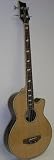 Acoustic Bass Guitars