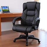 �T�����_�C���N�g �v���W�f���g�`�F�A�[ �����b�N�X ���b�L���O�`�F�A �ŏ㋉�̊����� �u���b�N �y�V���[�Y�݌v�o�ב䐔11,000��˔j�z 100-SNC015BK