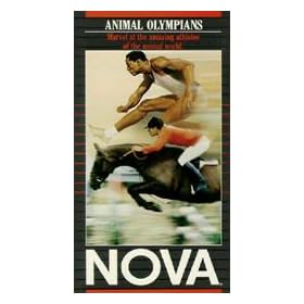 Nova: Animal Olympics [VHS]