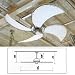SINGLE SPIN CANVAS BLADES OFF WHT