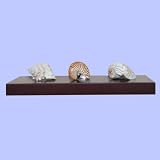 Ennospace 24 Inch x 10 Inch x 2 Inch Chicago Wall Shelf Display Floating Shelves Cherry