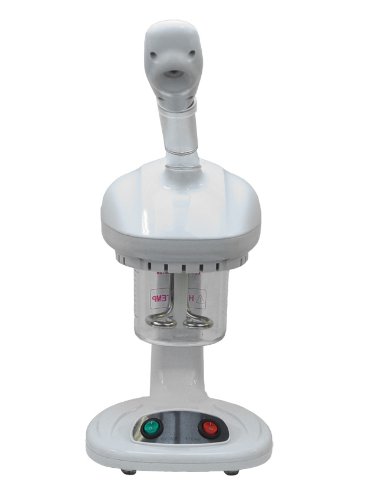 Personal Portable Table TOP Mini Facial HOT Steamer Salon Professional OZONE