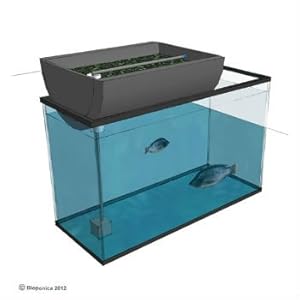 Amazon.com - Aquarium Biogarden 18" Small Aquarium Aquaponics System 
