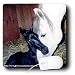 Horse - Andalusian Mare and Foal - Mouse Pads