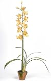 Cymbididium w/Moss Pot Silk Orchid Plant - Yellow