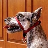Headcollar - Red - For Dogs 25 to 60 lb.