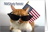 Happy Memorial Day - Cool Cat with Flag and Sunglasses Card