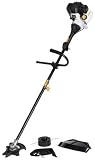 Ryobi 15-Inch 26 cc Gas-Powered String Trimmer and Brush Cutter with Straight Shaft #890R