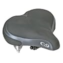 Sunlite Cloud-9 Bicycle Suspension Cruiser Saddle, Cruiser Gel, Tri-color Emerald