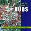 The Big Book of Buds: Marijuana Varieties from the World's Great Seed Breeders