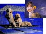 PRECISION CHROME PUPPY PEN 36X36X30