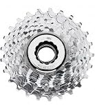 Campagnolo Veloce Kassette 10-fach