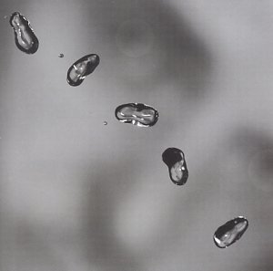large image