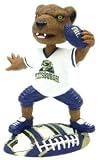 Pittsburgh Panthers Mascot Forever Collectibles Bobble Head