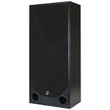 BIC AMERICA RTR-1530 15-Inch 3-Way Floor Standing Speaker (BIC AMERICA RTR1530)