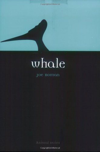 Whale (Reaktion Books - Animal)