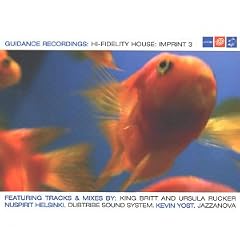 Hi-Fidelity House - Imprint Vol.3