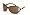 Tortoise with Brown Lens with Brown lenses