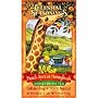 Celestial Seasonings, HERB TEA, PEACH APRICOT HONEYBUSH - 20 BAG