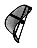 Smartworks Lumbar Support System.