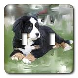 Dogs Bernese Mountain Dog - Bernese Mountain Dog - Light Switch Covers - double toggle switch