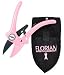 breast_cancer22breast cancer - Breast Cancer Benefit Ratchet Pruner