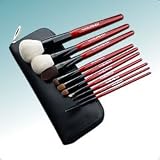 10 Piece Brush Set Deluxe (Red Color)
