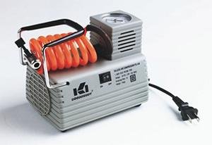 Economy Model Electric Pump