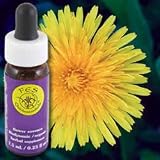 Flower Essence Services Dandelion