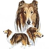 Collie Adult Long Sleeve T-Shirt