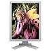 Eizo L997 21 Zoll LCD TFT Monitor (Kontrast 550:1, Reaktionszeit 30ms)
