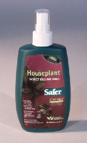 Bonsai Boy's Safer Insect Soap In A Spray Bottle