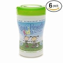 Sani-Hands KIDS Instant Hand Sanitizer Wipes Cupholder, 40-Counts (Pack of 6)