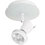 Globe Siena One-Light Flush Mount Ceiling Fixture with Frosted Glass Backplate, White #57455