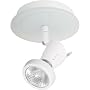 Globe Siena One-Light Flush Mount Ceiling Fixture with Frosted Glass Backplate, White #57455