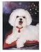 Bichon Christmas Notecards