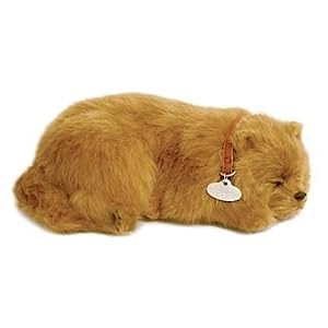 Perfect Petzzz Pomeranian by