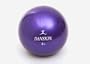 Danskin DA-1070R 4-Pound Weighted Toning Ball
