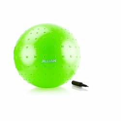 Jillian Michaels 65 cm Anti-Burst Stayball