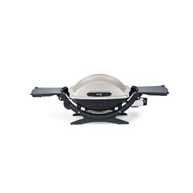 Weber Q 120 Gas Grill