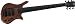 Warwick Thumb Bass 6-String
