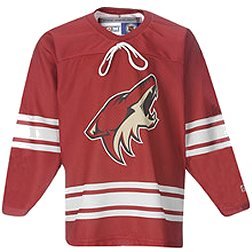 Buy Phoenix Coyotes Youth Replica NHL Team Color Jersey