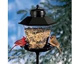 Coach Lamp Bird Feeder