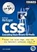 CSS - Cascading Style Sheets f&uuml;r Profis