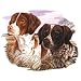 Brittany Spaniel Dog Adult Sweatshirt