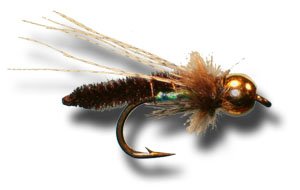 BH Caddis Poopah - Fishing Fly
