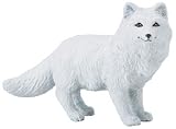 Arctic Fox