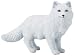 Arctic Fox